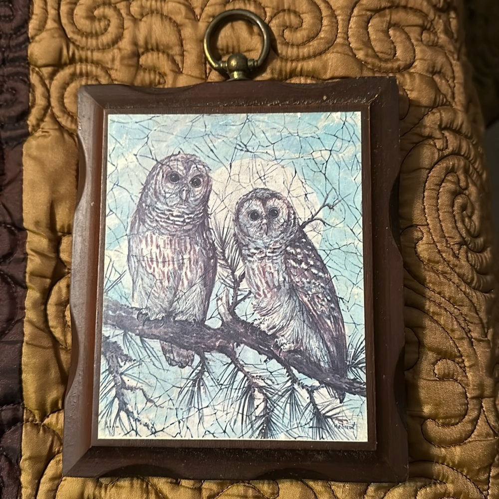 Vintage Owls Wooden Plaque